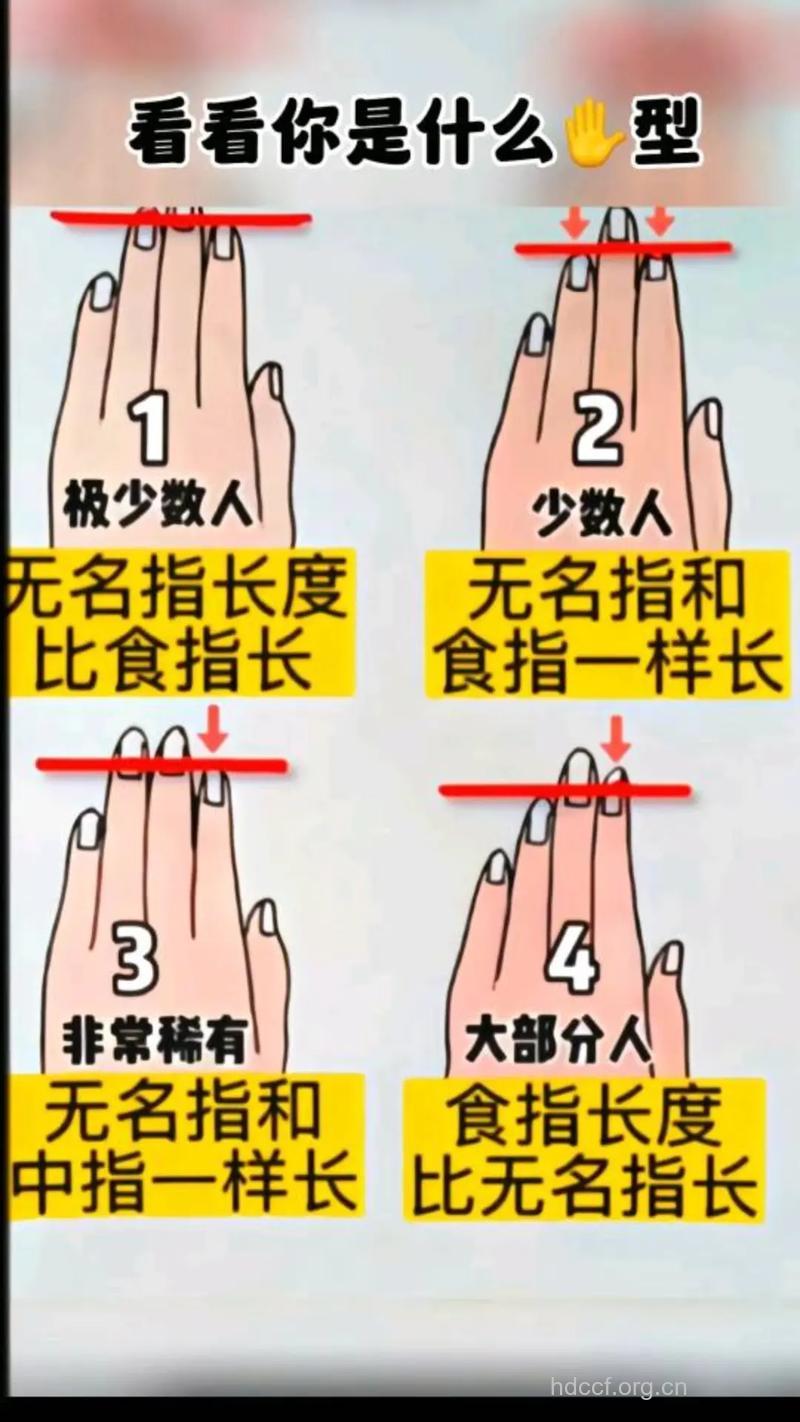 食指与中指长短差异代表什么