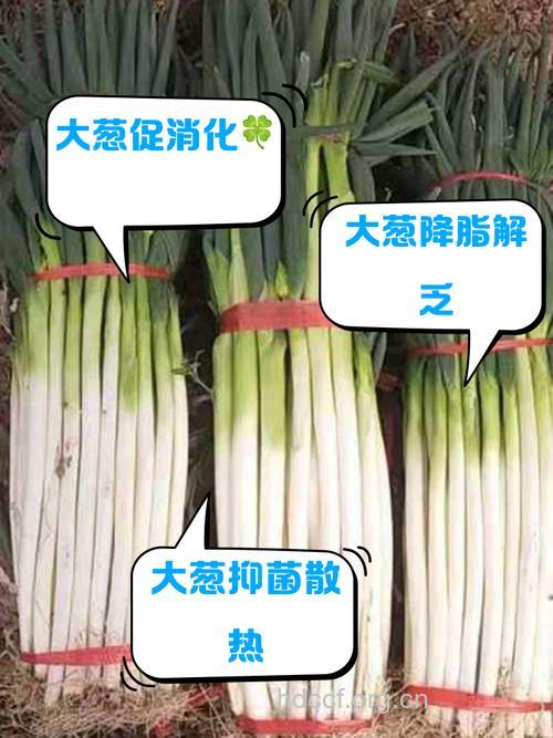男性吃大葱具有壮阳的好处