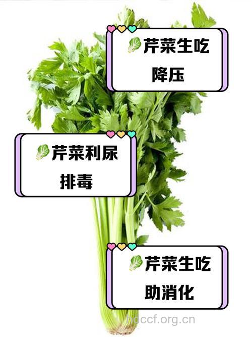 芹菜大蒜，食物中的杀精凶手
