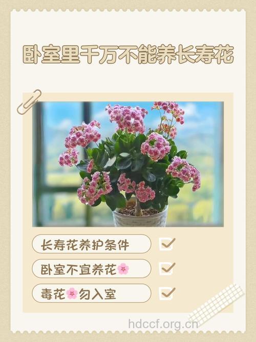 室内养花3宜3忌要切记