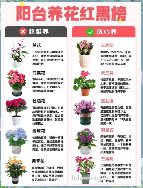 室内养花有哪些注意事项