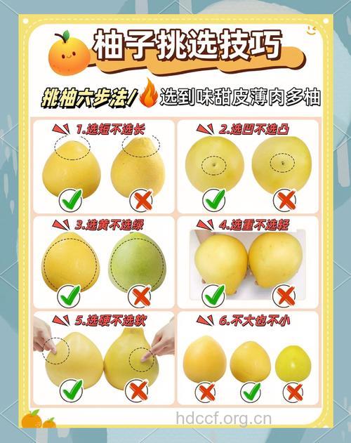 挑选柚子的5个小窍门