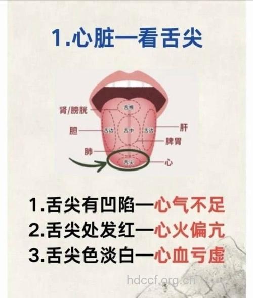由舌观心 诊断冠心病
