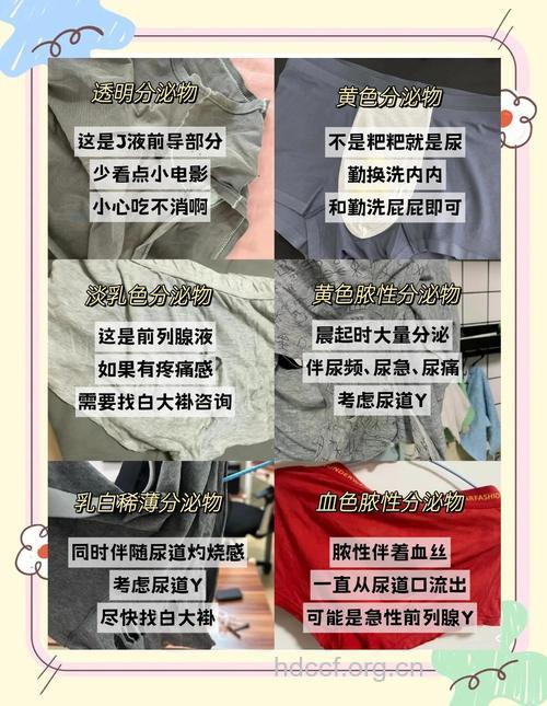 内裤危及男人的生育能力