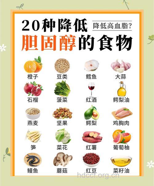 高胆固醇饮食可增加心脏病风险