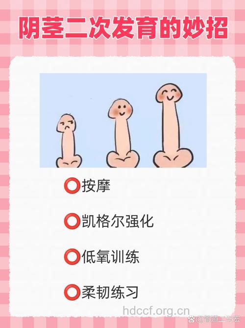 如何促进男性第二次性发育