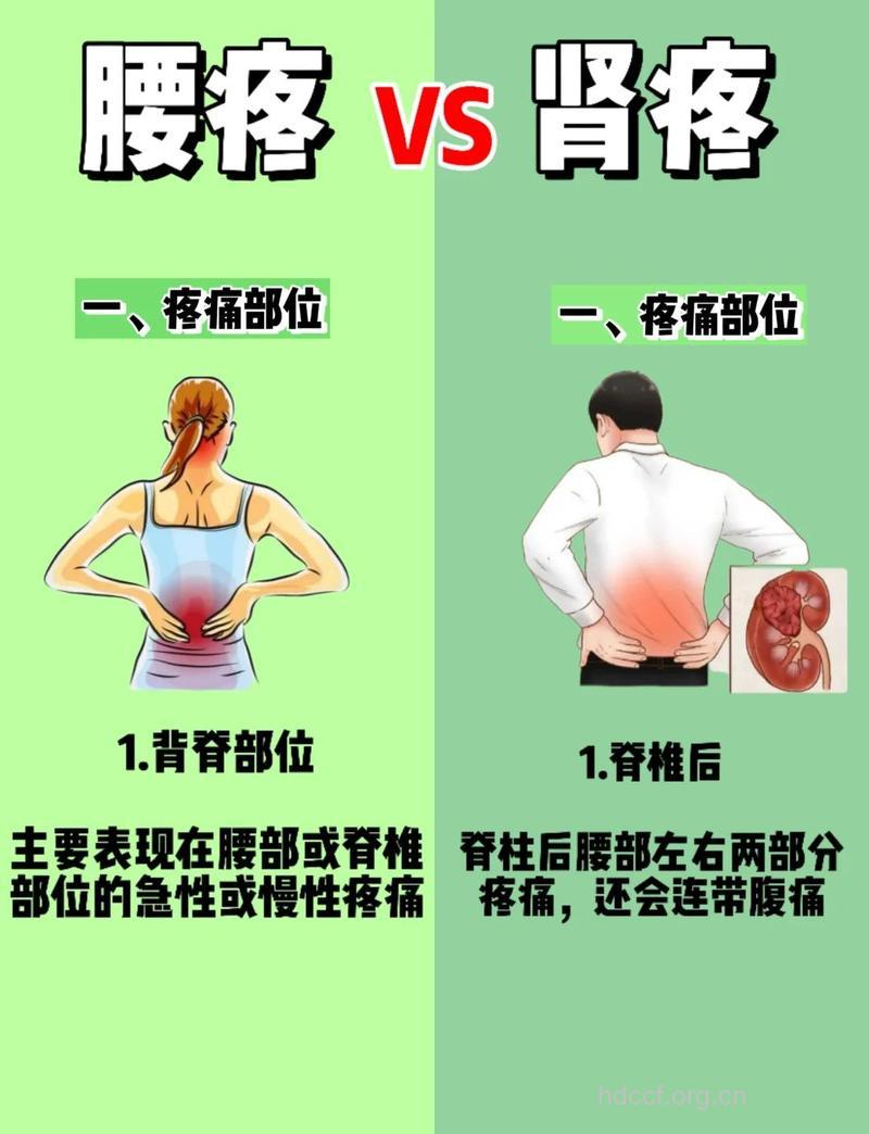 经常腰痛是不是肾虚症状