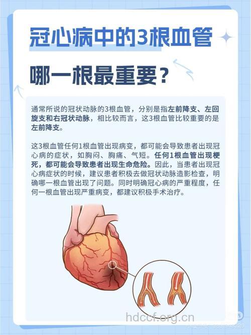 冠心病人保护血管很重要