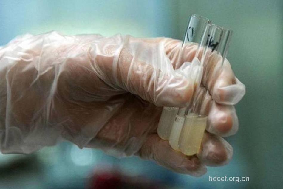 走进男人精液的多彩世界