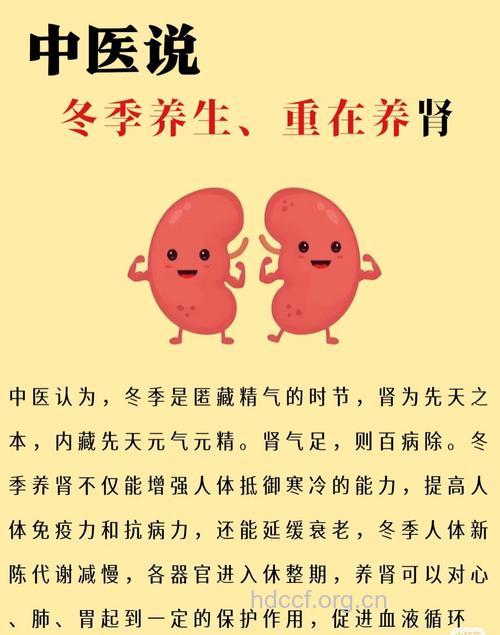 冬季男性保健养生要“肾”重