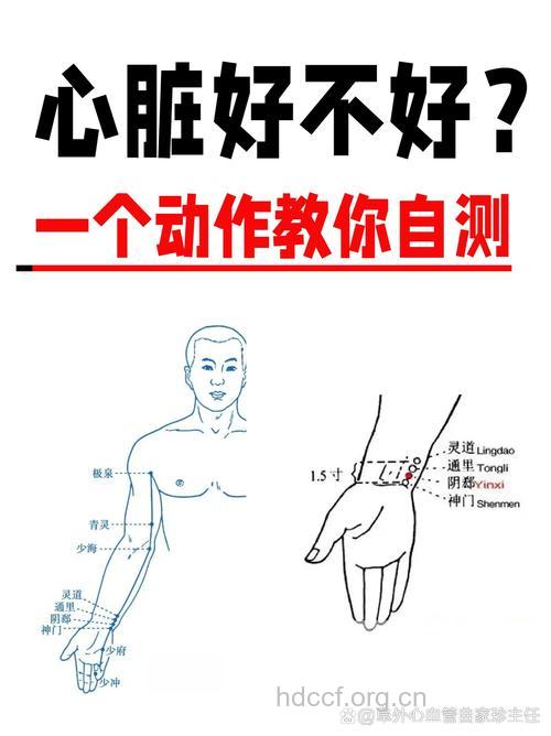 测测你的心脏好不好