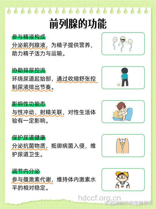 良性前列腺增生更需注重生活保健