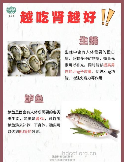 滋阴壮阳菜真的效果这么好吗