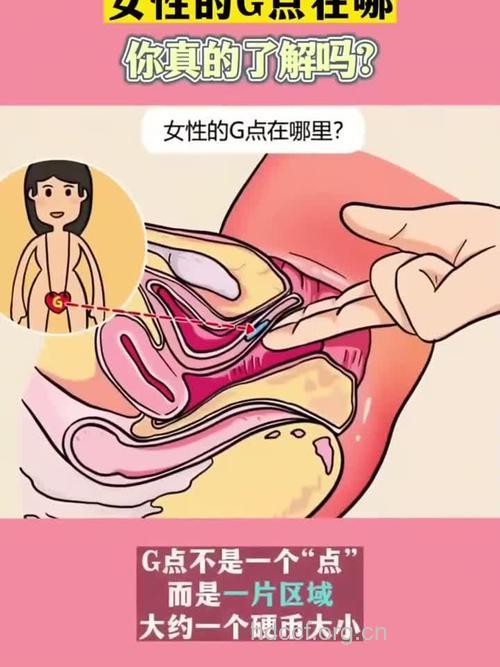 曝光：女人12个性敏感地带