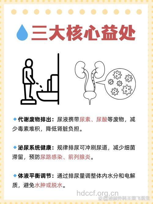 男性如何排尿对身体有好处