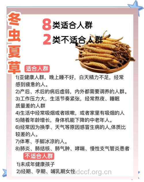 男人吃冬虫夏草有什么好处