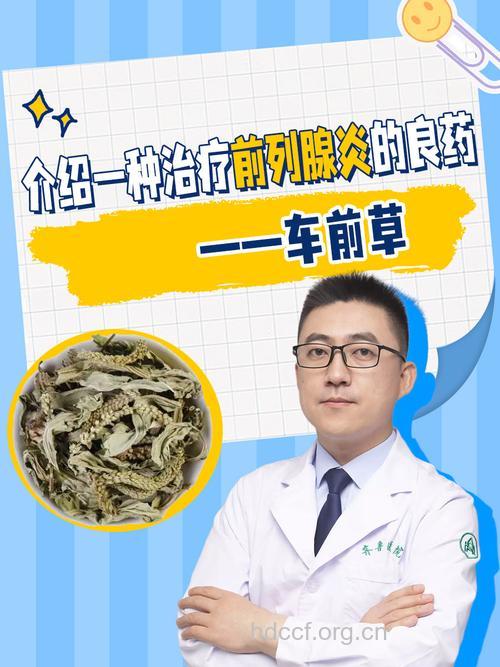 治疗前列腺增生的植物药