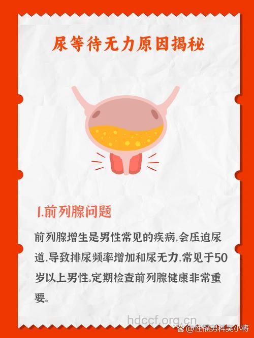 前列腺增生患者不能排尿怎么办
