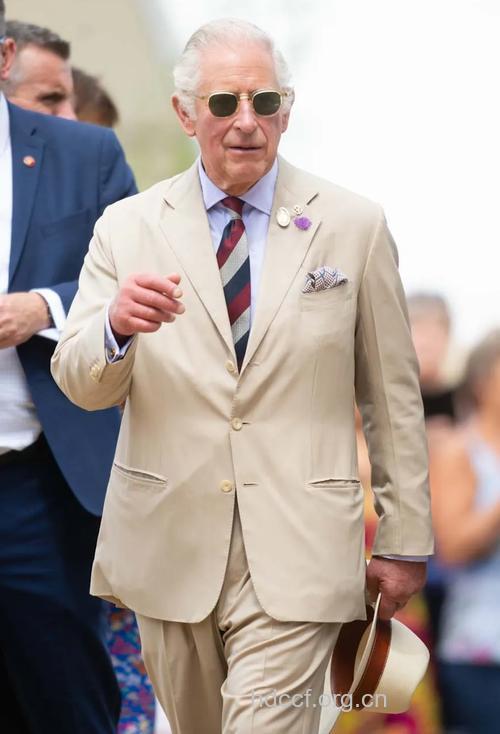 全球最会着装的男人-查尔斯王子