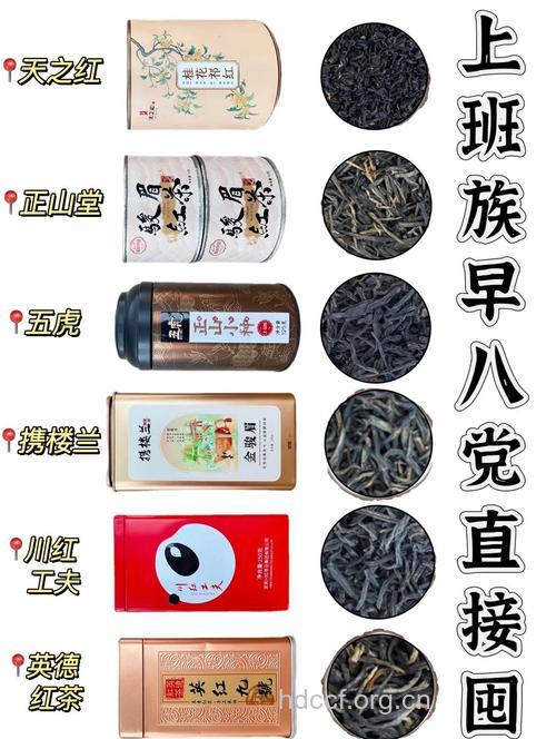 上班族喝11款茶提神效果好