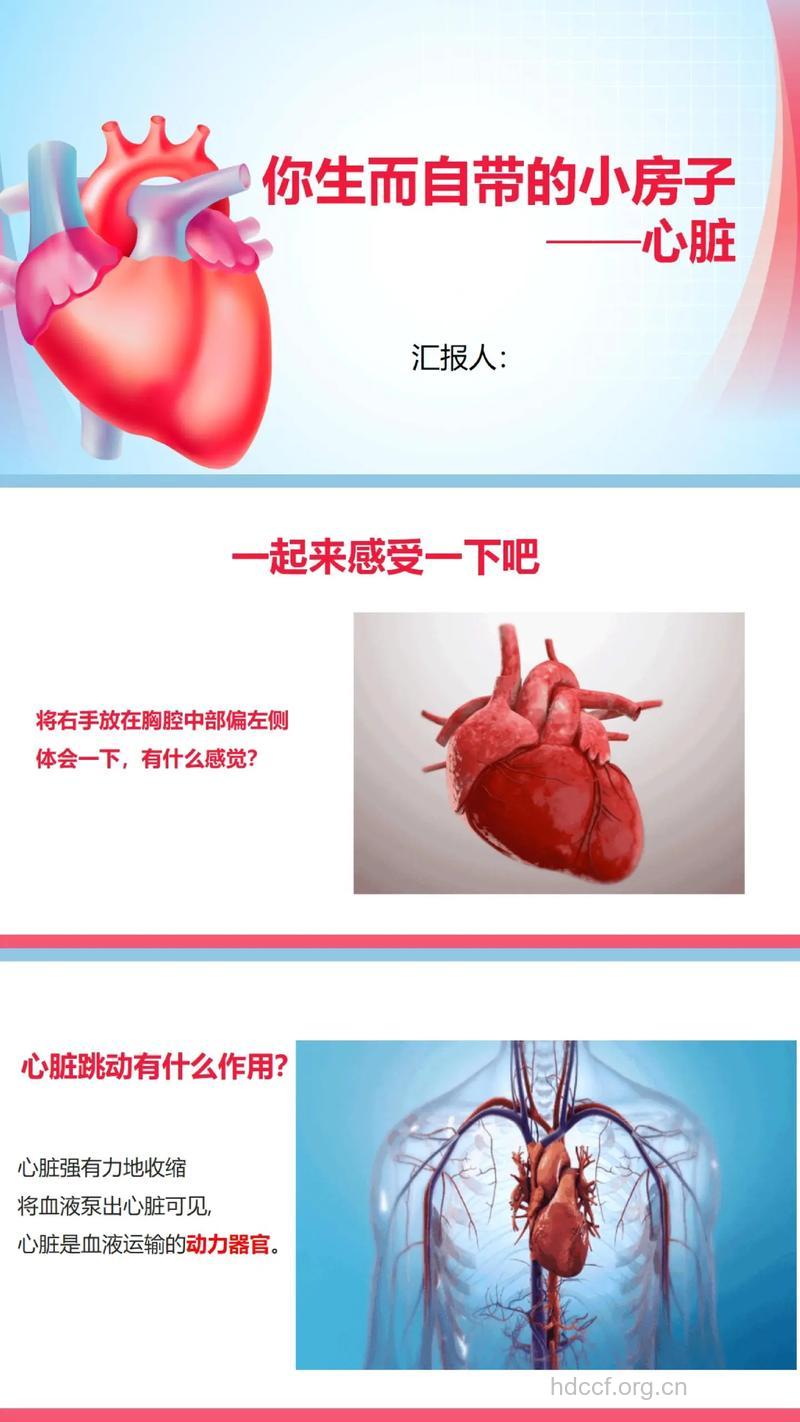 心脏“零件”该修修该补补