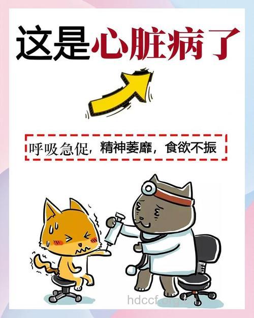 受教育程度高不易患心脏病
