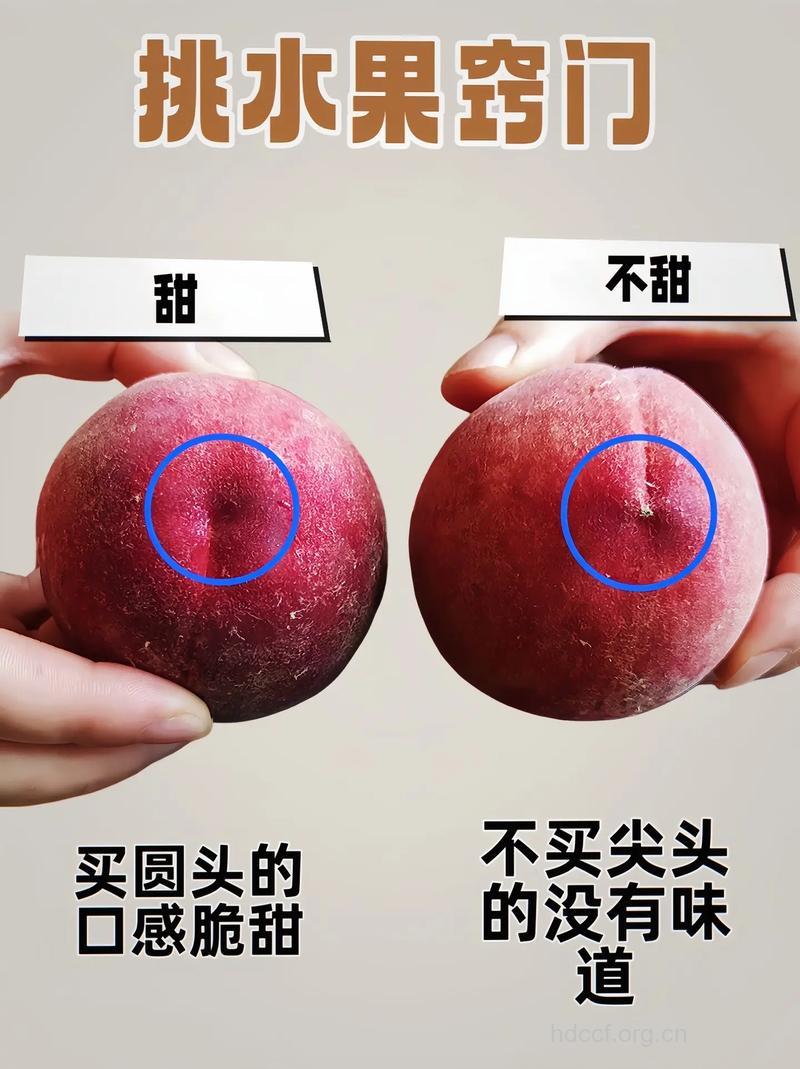 如何挑选水蜜桃