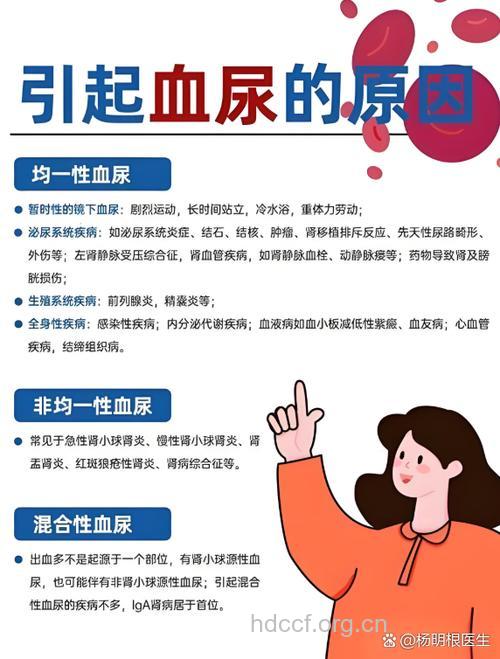 前列腺增生为什么会“血尿”