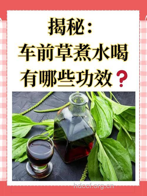 男人经常开车喝什么明目