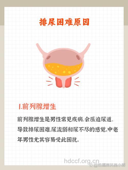 前列腺增生患者排尿困难原因