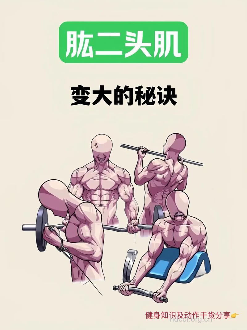 男性如何获得大块头肌肉