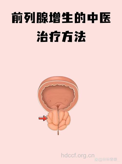 中医怎么辩证治疗前列腺增生