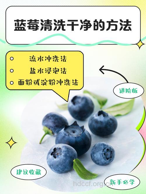 蓝莓怎么洗 清洗蓝莓的小窍门