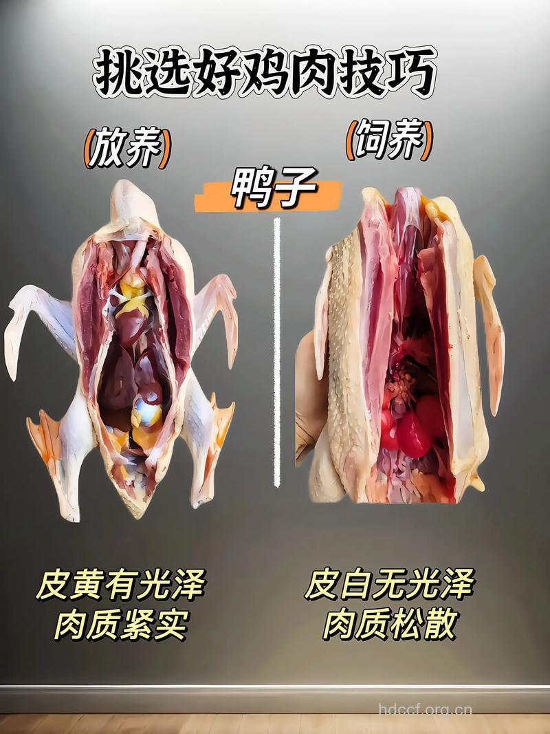 如何挑选鸡鸭肉