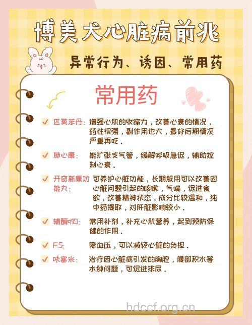 心脏病发作前兆和处理方法