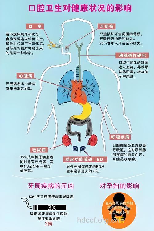 惊！口腔卫生关乎心脏病