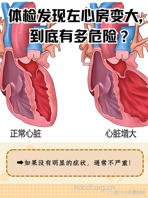 你不知道的心脏问题