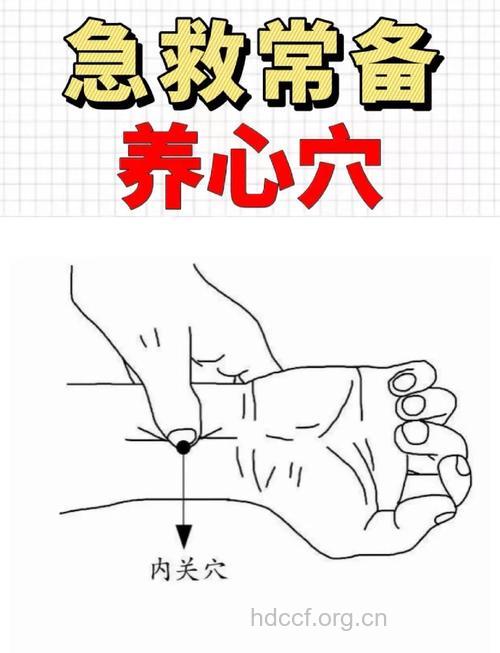 心绞痛 救急三穴位
