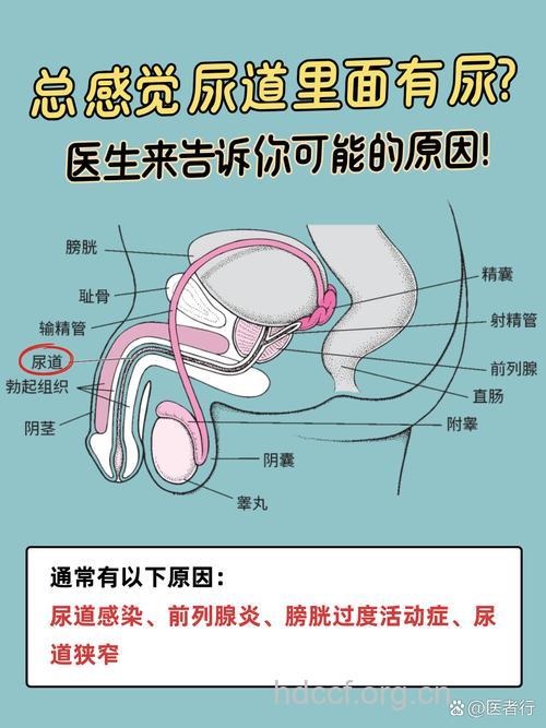 男性的生理弱点