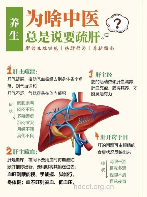 男性排毒三大途径是什么
