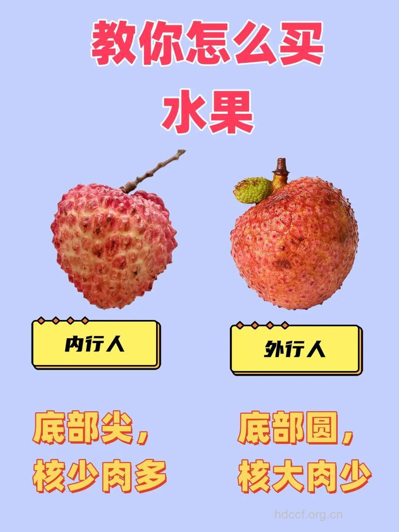 挑选荔枝的几个小窍门