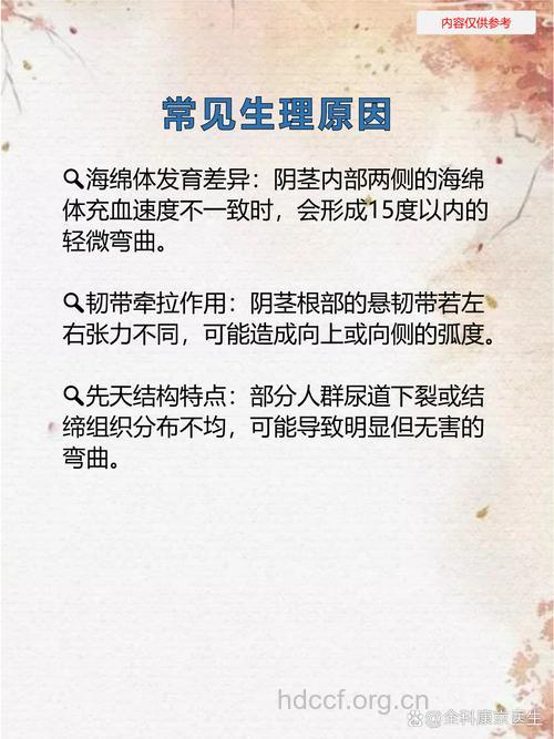 有的男性阴茎为何会弯曲