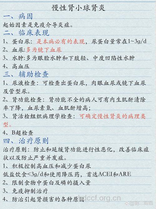 肾炎的诊断依据有哪些