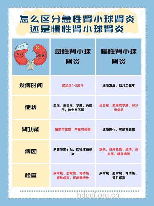 如何区分急性慢性肾小球肾炎