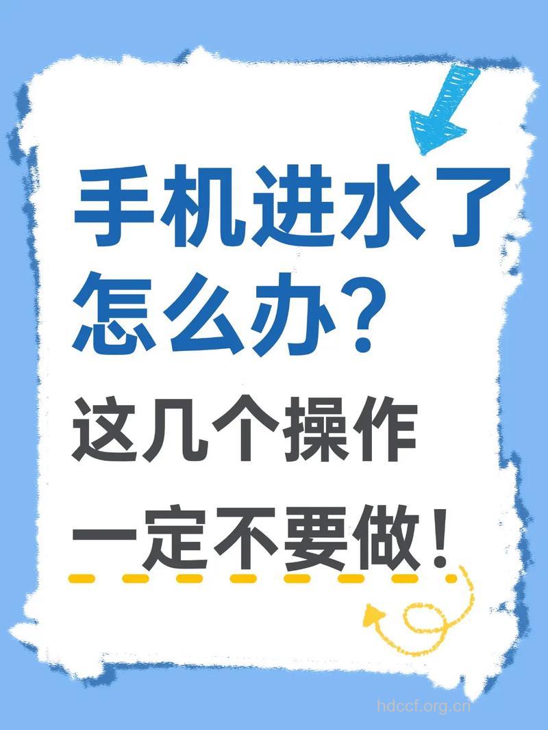 手机进水了怎么办