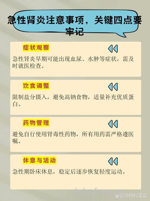 年底忙警惕肾炎 冬季怎么预防急性肾炎