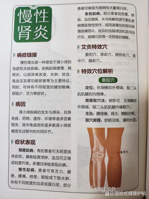 中医调理不同体质慢性肾炎