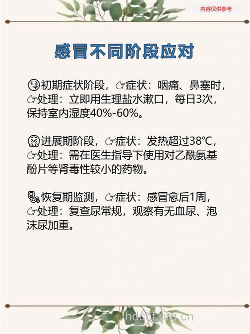 为什么肾病怕感冒 肾病患者感冒危害大