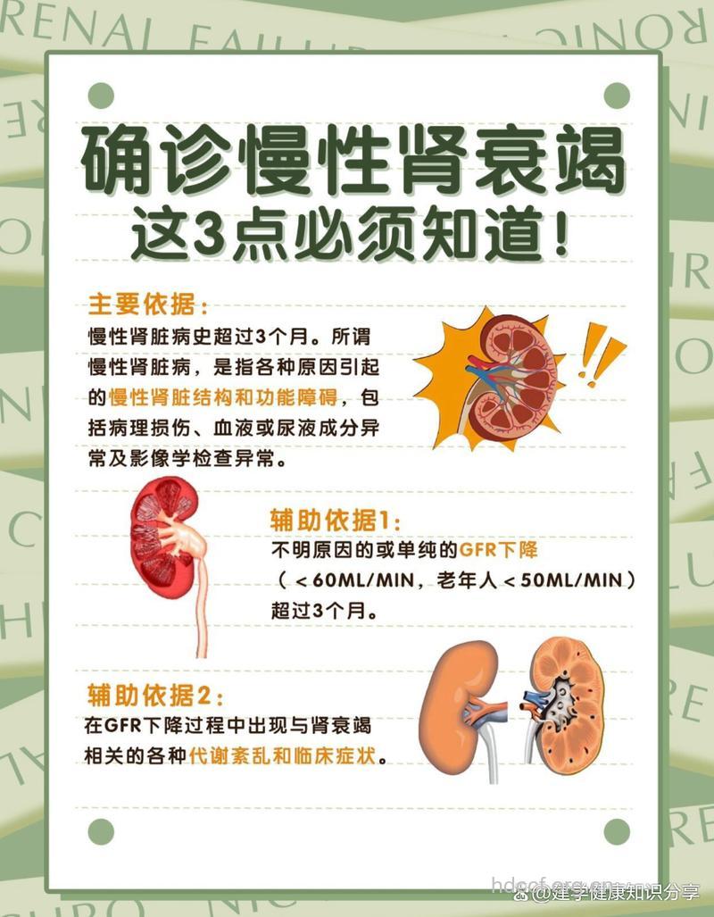 老年人患慢性肾炎危害大