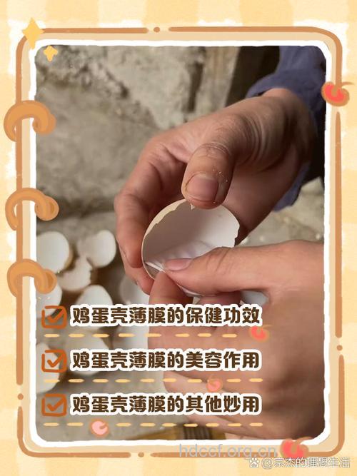 蛋壳的五大妙用